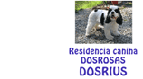 Dosrosas