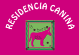 Residencia canina La burra Lola
